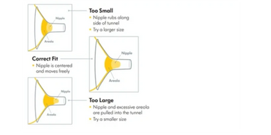 Flange Sizing