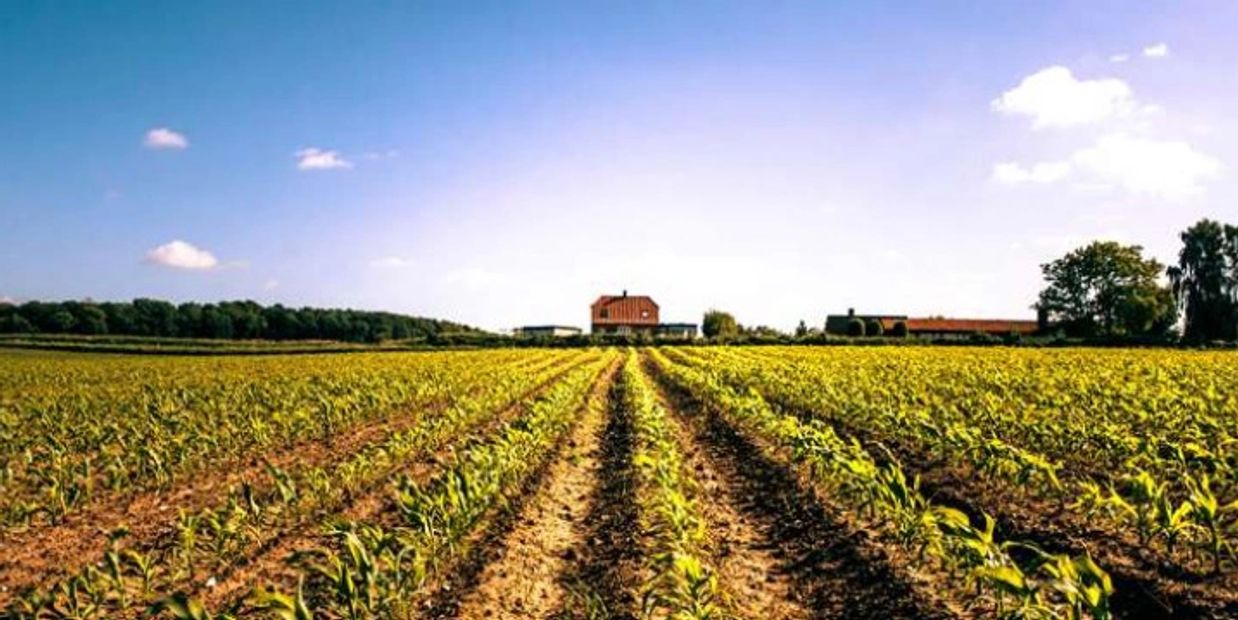 Agricultural site