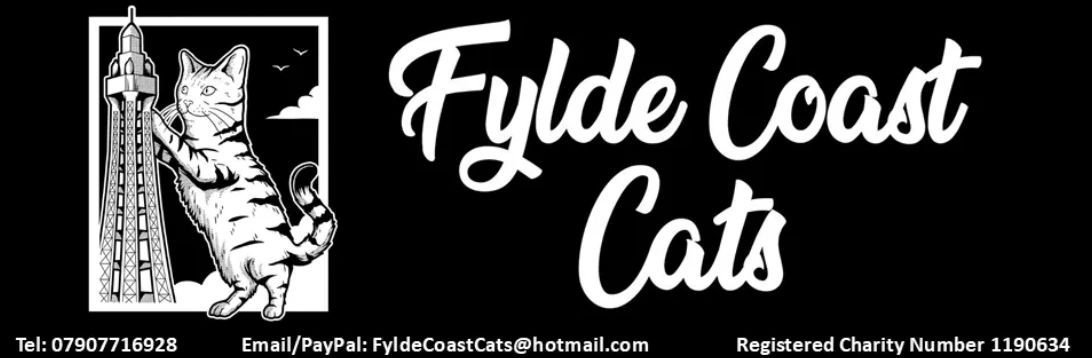 Fylde Coast Cats logo