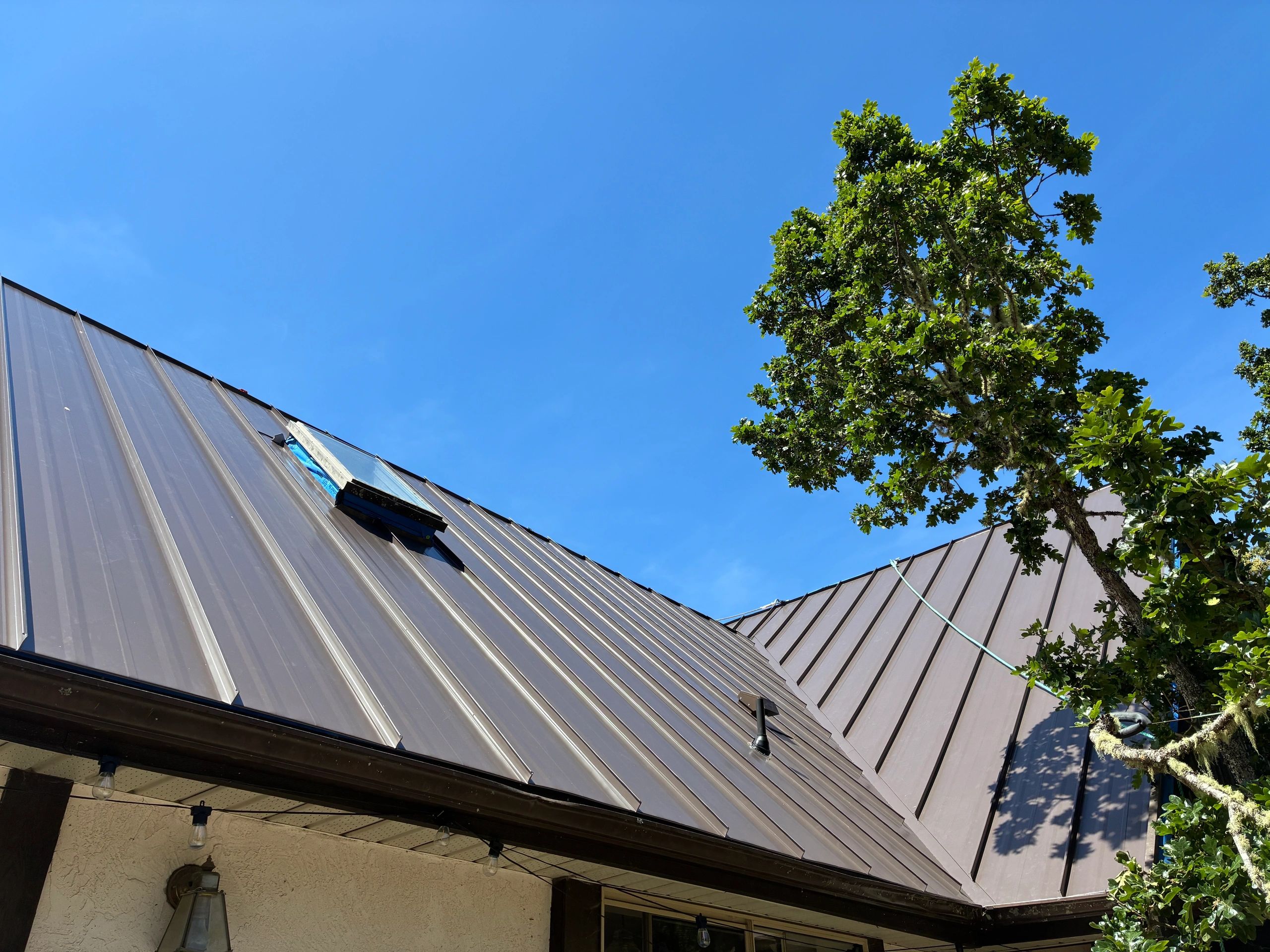 Metal roof with a skylight and a tree under a clear blue sky.