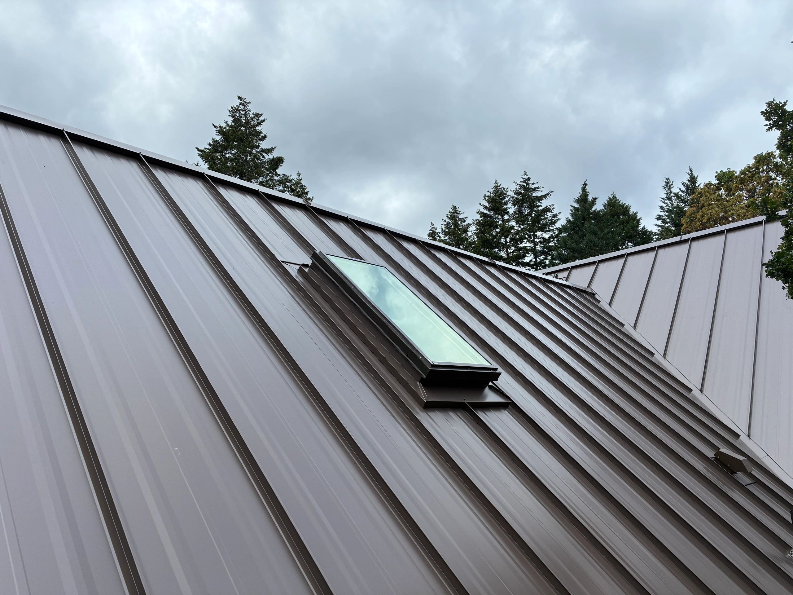 Metal roof with skylight against cloudy sky and pine trees.