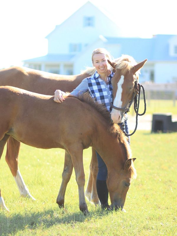 Emily and New Forest Ponies Wren and Fern