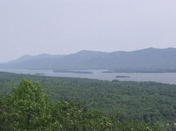 forest_and_mountains2.jpg
