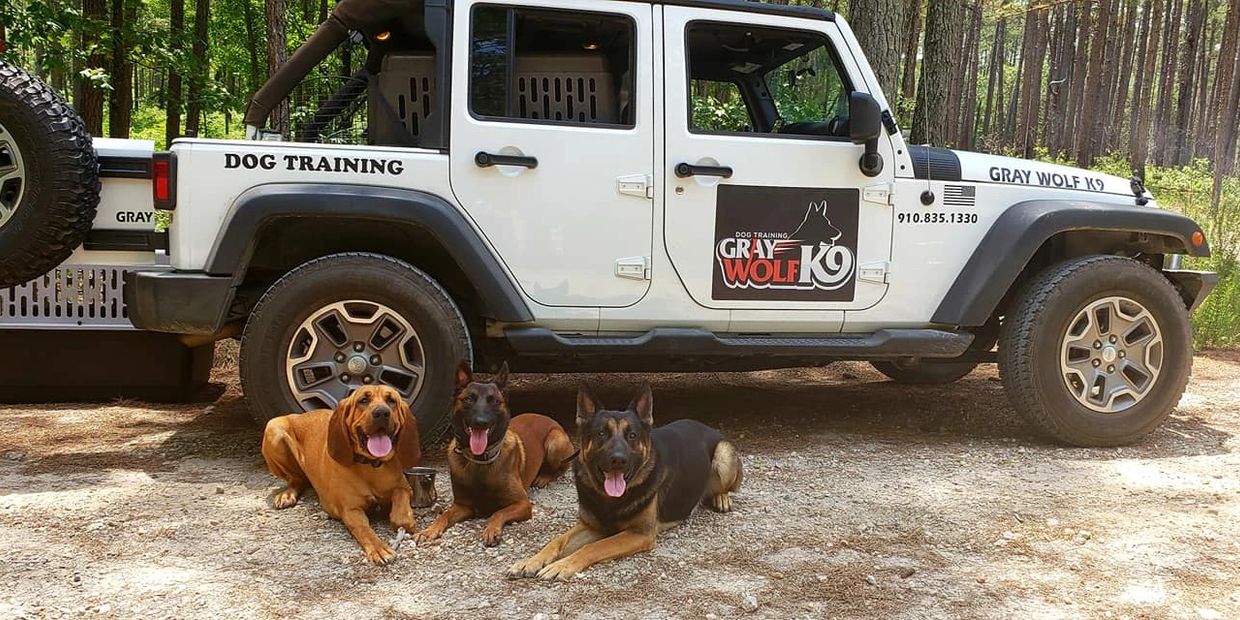 Gray Wolf K9, LLC Dog Training, Dog Trainer, Dog Obedience