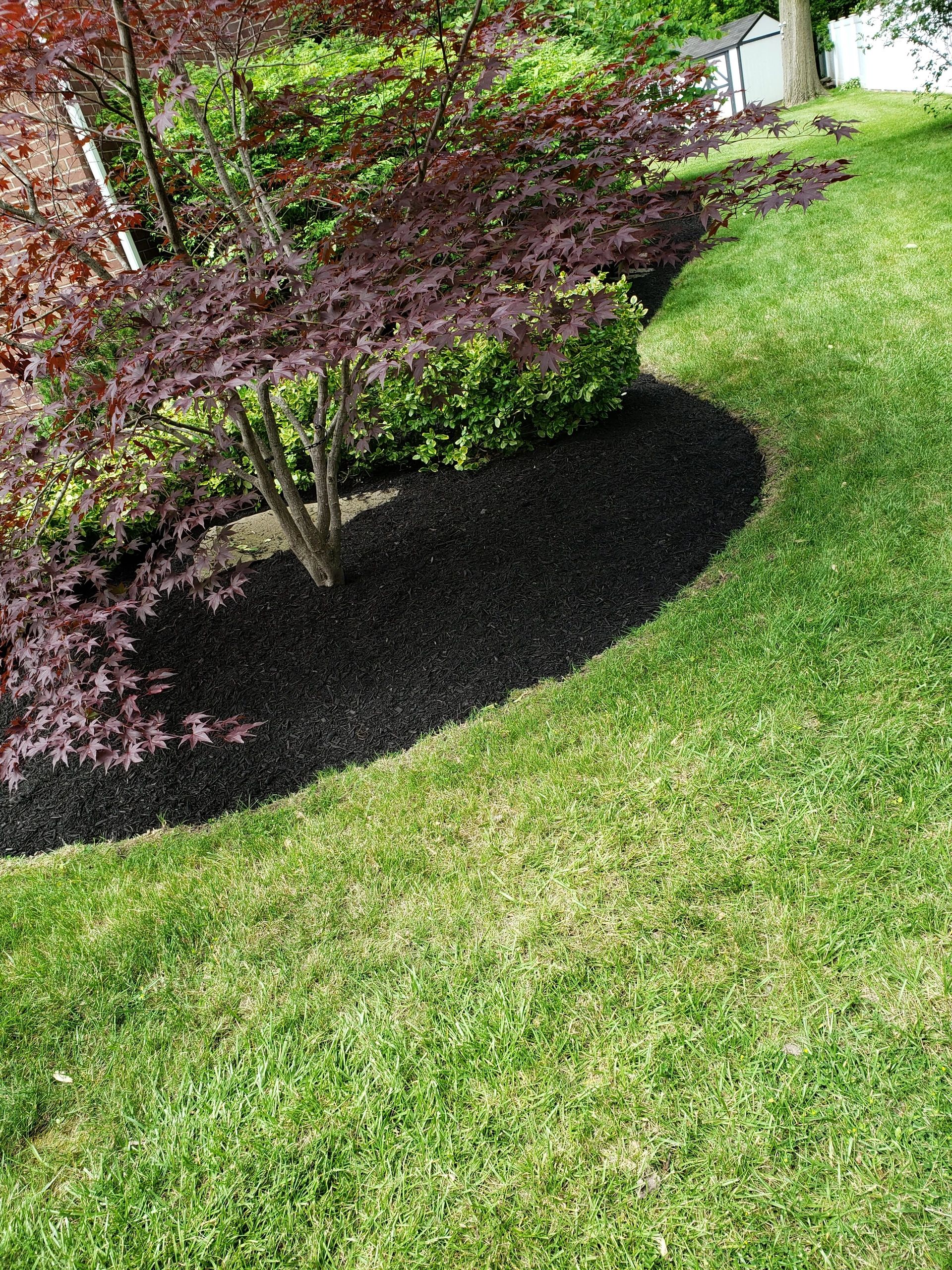 Mulch Installation