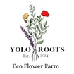 Yolo Roots Eco Flower Farm