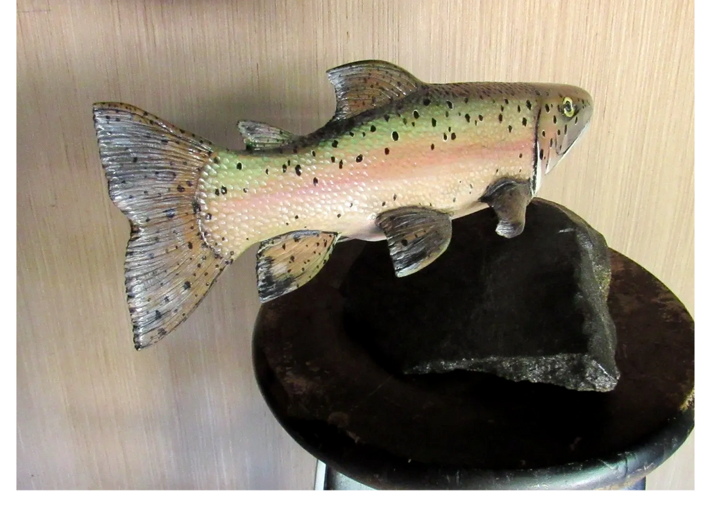 
16" POPLAR RAINBOW TROUT 2021