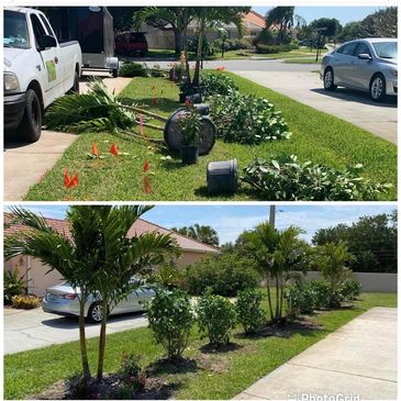 Shrub and tree planting service in Melbourne, FL for long-term curb appeal
