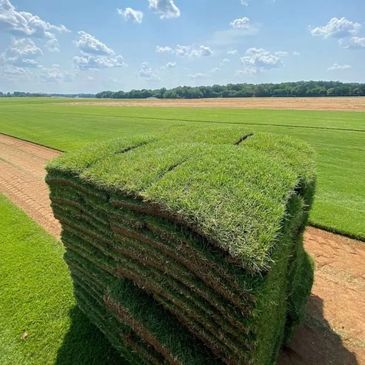 Sod installation in Brevard County, FL with full prep and leveling for instant green lawns