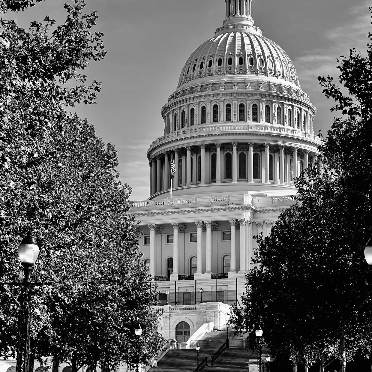 Black and white photo of the U.S. Capitol dome framed by trees and lamps.