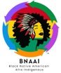 Black Native American Afro Indigenous LLC