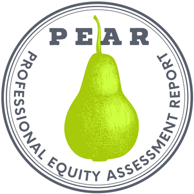 Professional Equity Assessment Report