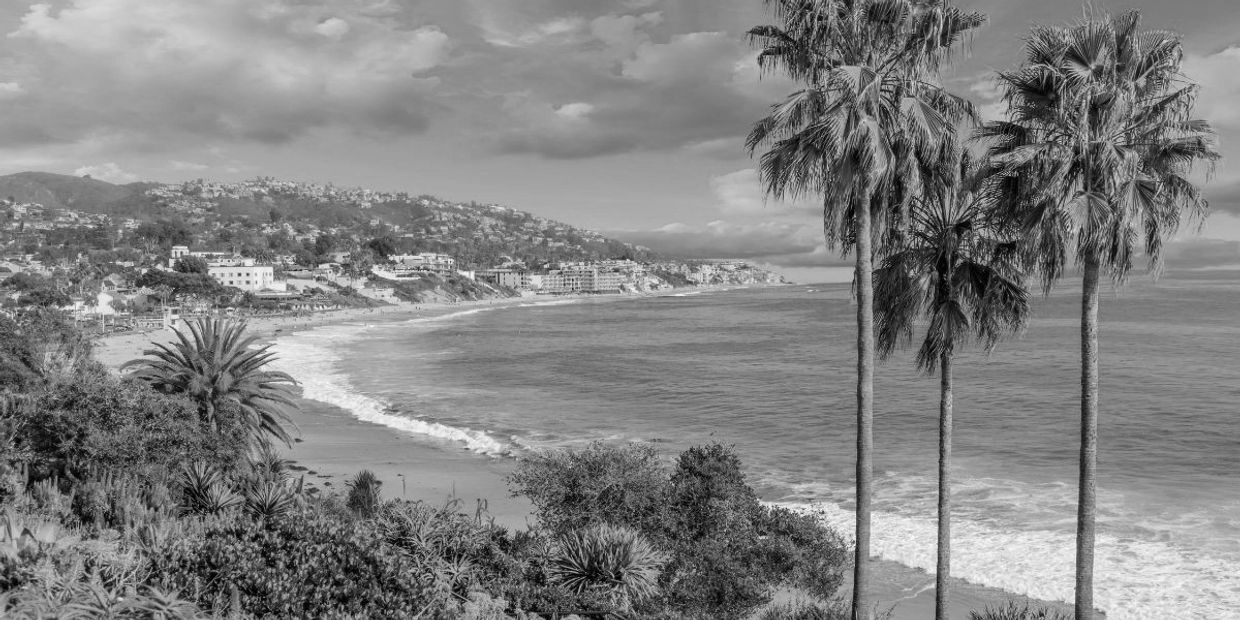 Coastal view with palm trees and waves under a cloudy sky.