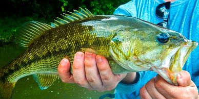 East Alabama Fly Fishing