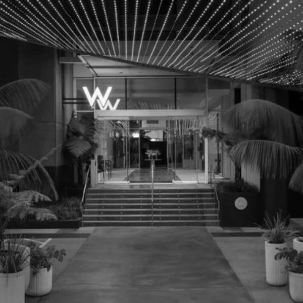 Entrance of a modern building decorated with lights and plants.