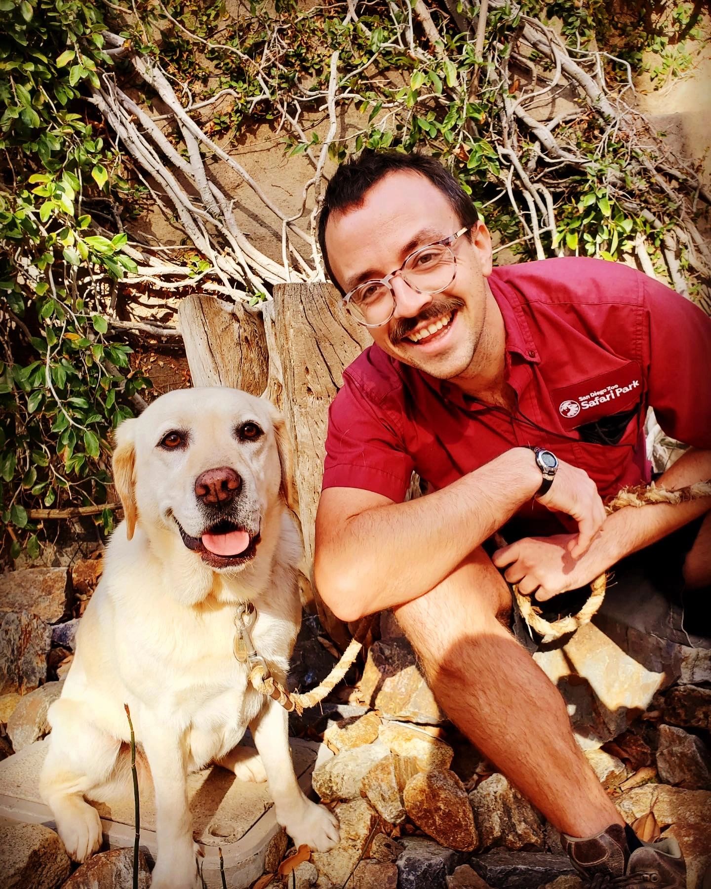 Pet Mentor