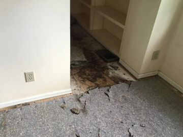 Water-damaged flooring in a home indicating urgent need for 24/7 emergency electrical repair services