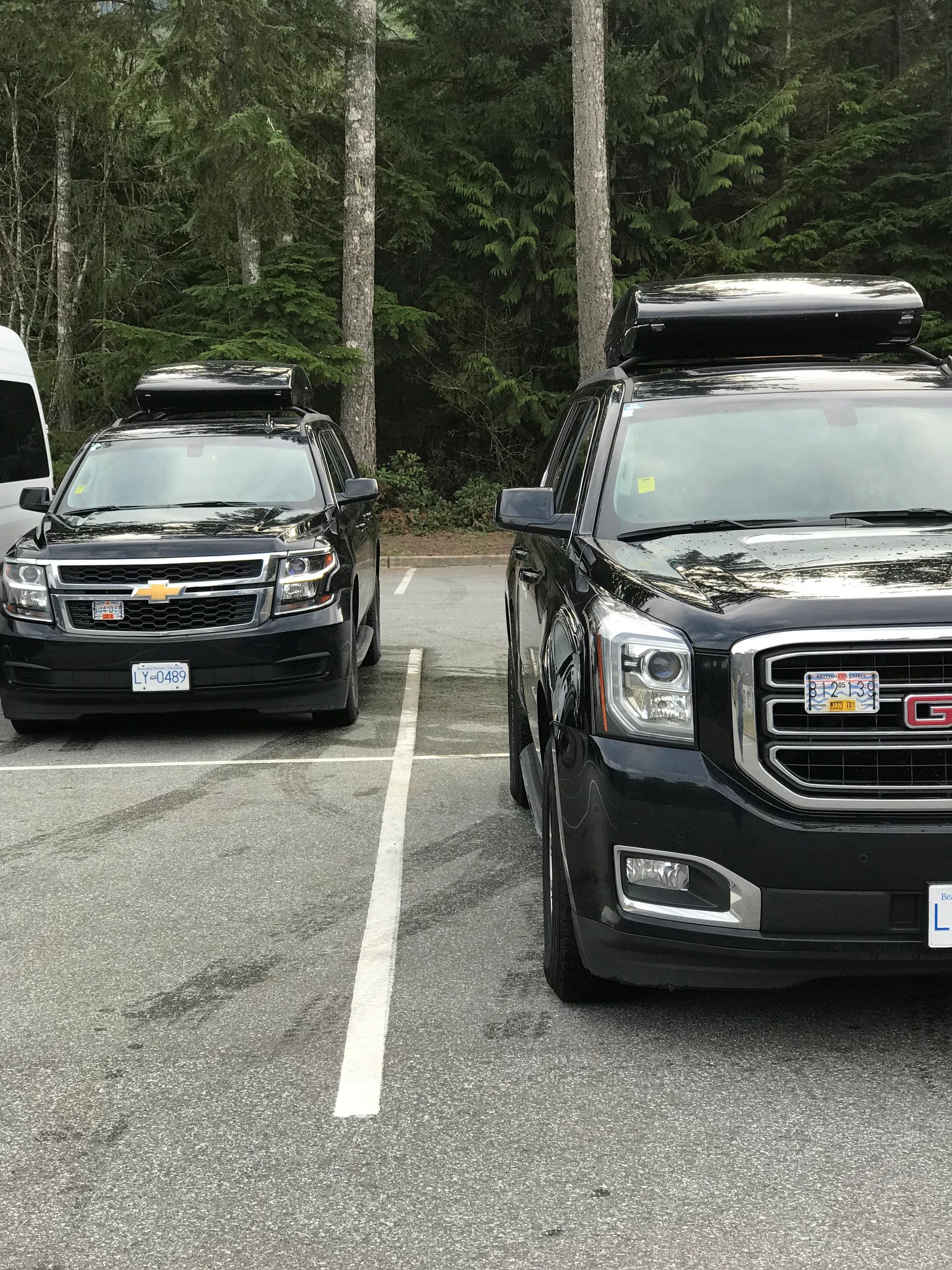 Two black SUVs with roof boxes parked in a forested parking lot.