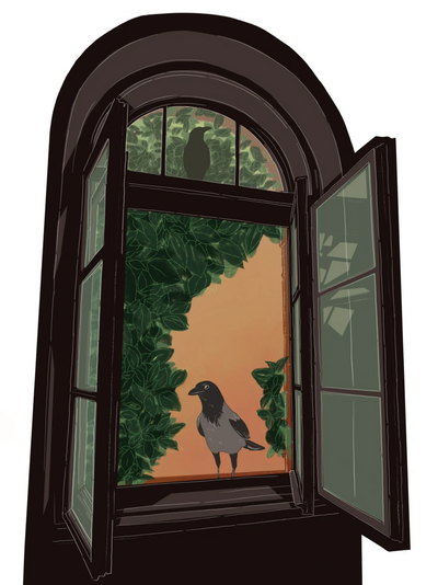 Crow standing in an open window looking in
