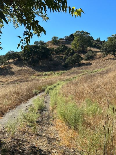 Dirt path through dry grassy hillside under clear blue sky.