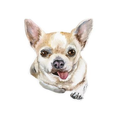 Oscar