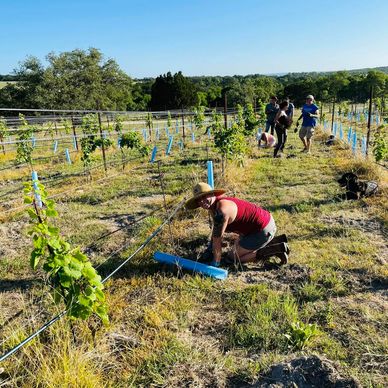 2022 Planting party!