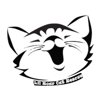 Lil Roar Cat Rescue