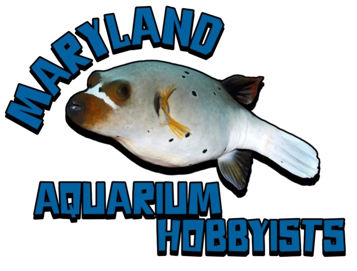 Maryland Aquarium Hobbyists the aquarium club in Maryland and CTE Aquatics