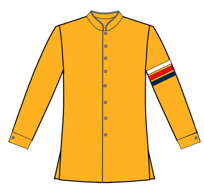 248- Gold Button Front with Stripes