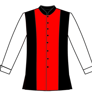 252 Red wth black side panels and white sleeve.png