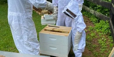 educational programming beekeeping for kids
