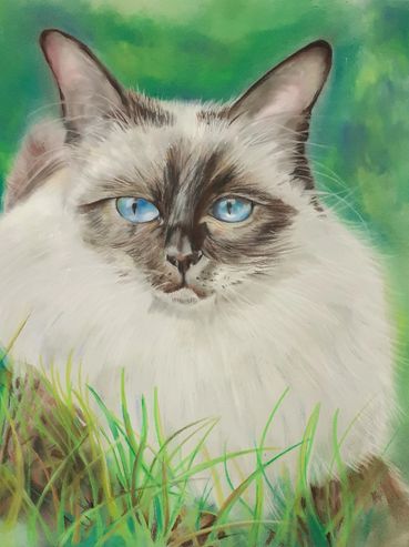 painting of a cat with blue eyes laying on the grass

