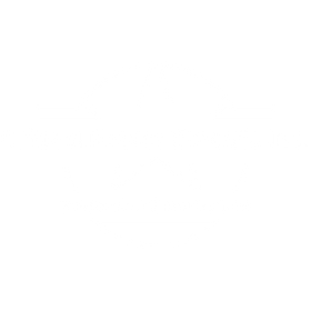 CRITICAL POWER ELECTRIC INC 