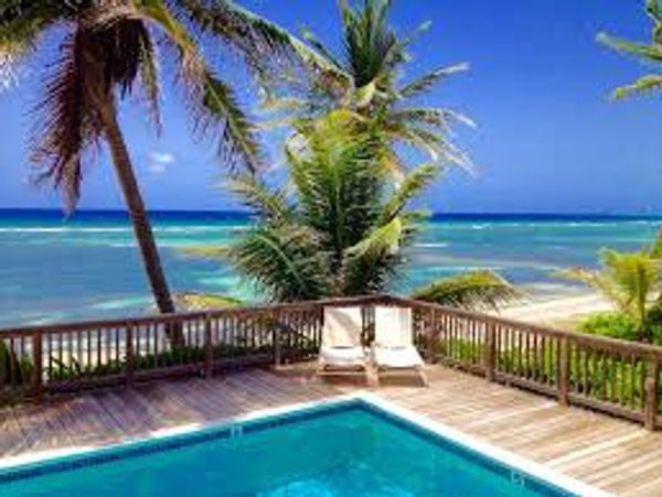 Tranquil poolside view with palm trees and ocean in the background.