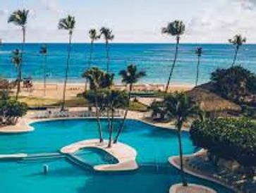 Resort pool with palm trees overlooking the ocean on a sunny day.