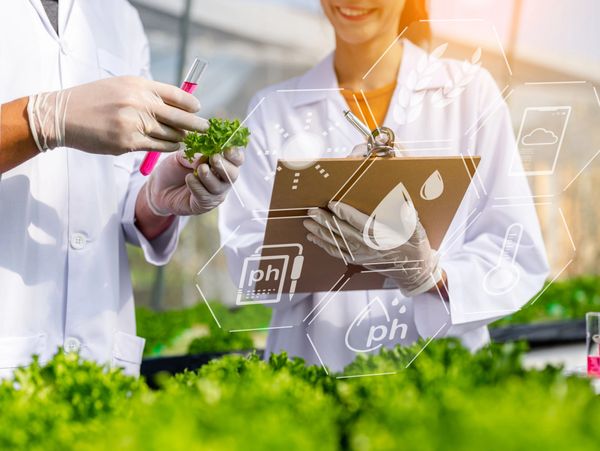 Scientists examining ripe produce and flavor compounds with high-tech lab instruments