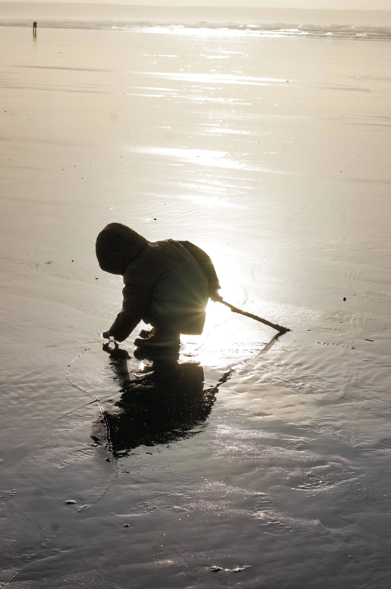 Devo Family Photography