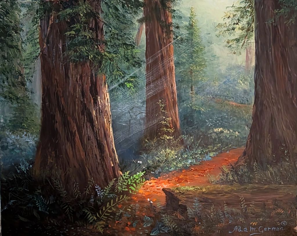 Coastal redwoods