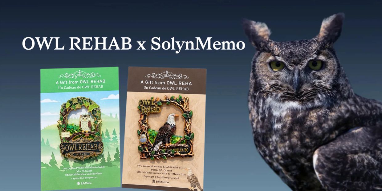 Promotional image for OWL REHAB x SolynMemo collaboration featuring owl pins and a real owl.
