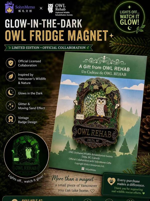 Glow-in-the-dark owl fridge magnet from official SolynMemo and OWL Rehab collaboration.