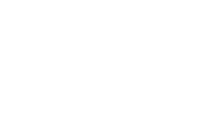 Velocidad