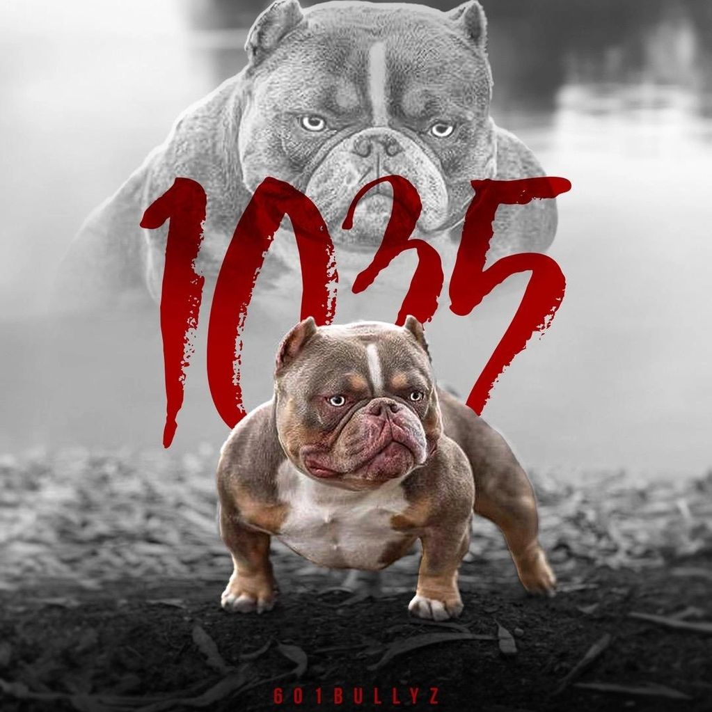 1035 black ink by the bully agency