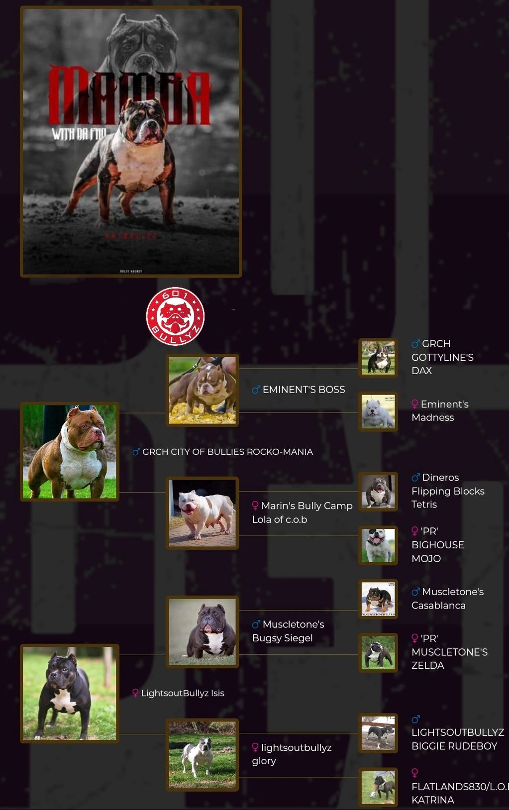601Bullyz Mamba wit da Fro 
Pedigree 