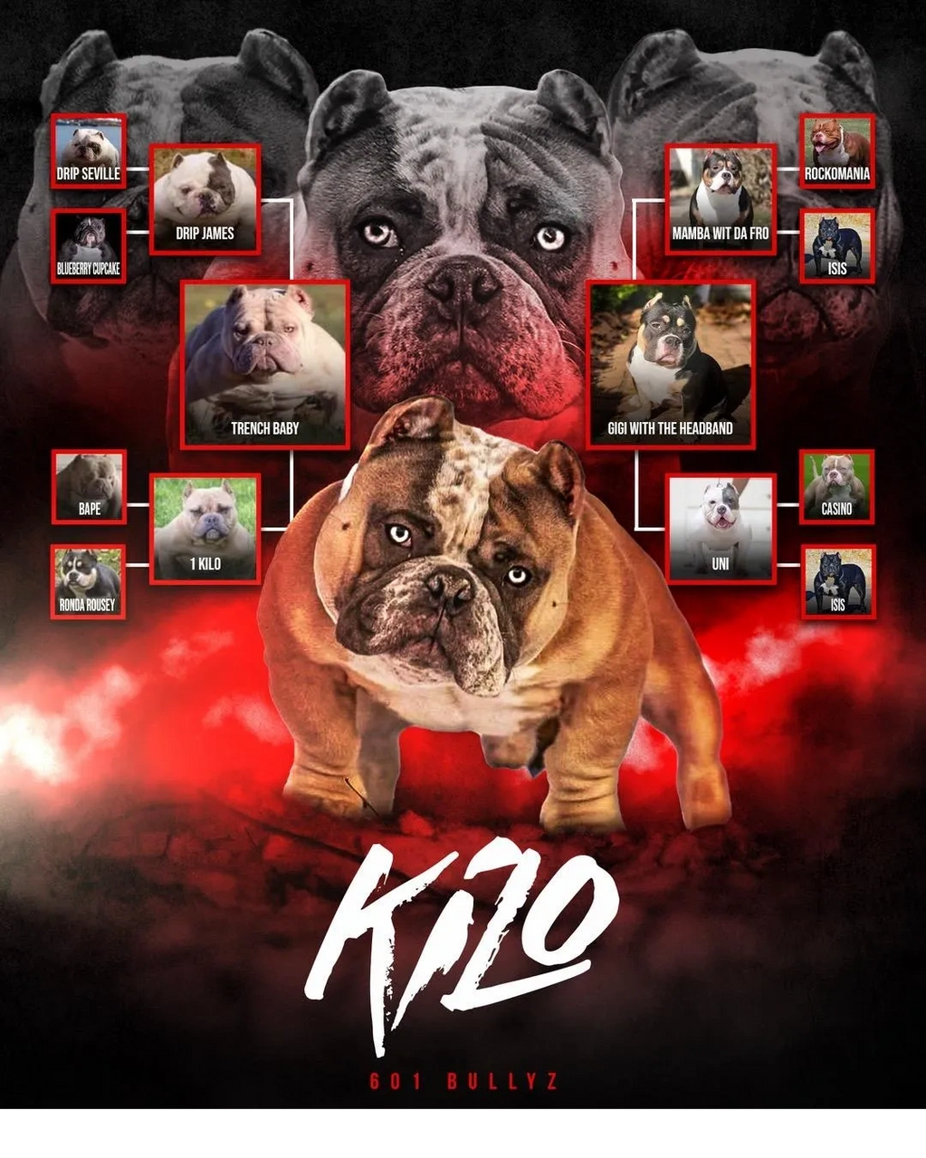 601Bullyz Kilo
Pedigree