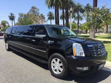 Celebrity 1 Limousine