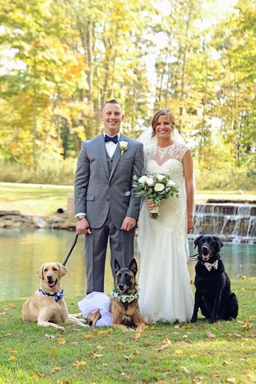 Newlywed couple posing with three dogs in a scenic outdoor setting.