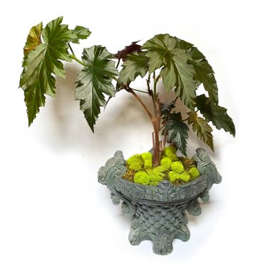 modern organic indoor outdoor wall pocket planer fall arrangements