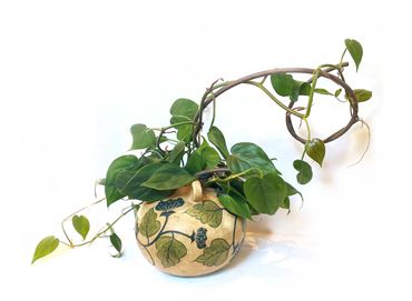 heart leafed philodendron vine trellis