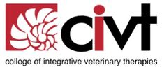 CIVT logo on the display of the website