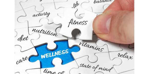 Puzzle piece labeled fitness completing wellness puzzle.